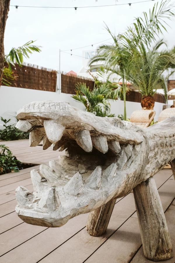 Dreamsea Surf House Fuerteventura Hostel คอร์ราเลโฮ ภายนอก รูปภาพ